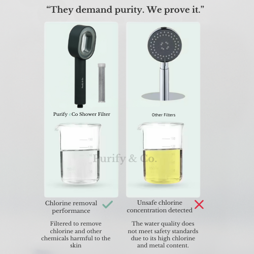 Filtre de douche Purify eCo