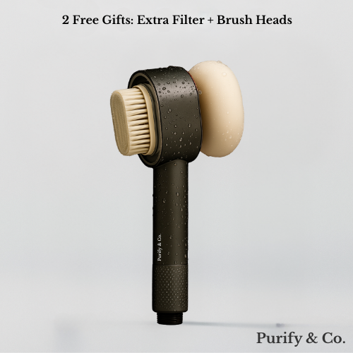 Filtre de douche Purify eCo