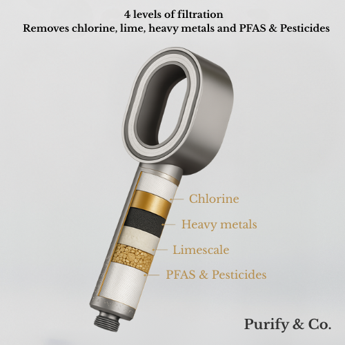 Filtre de douche Purify eCo